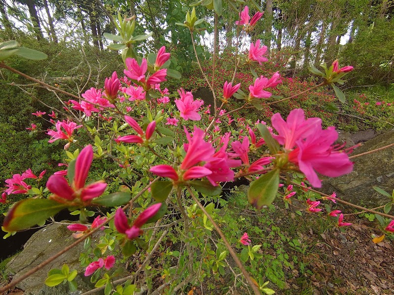 アスナ公園