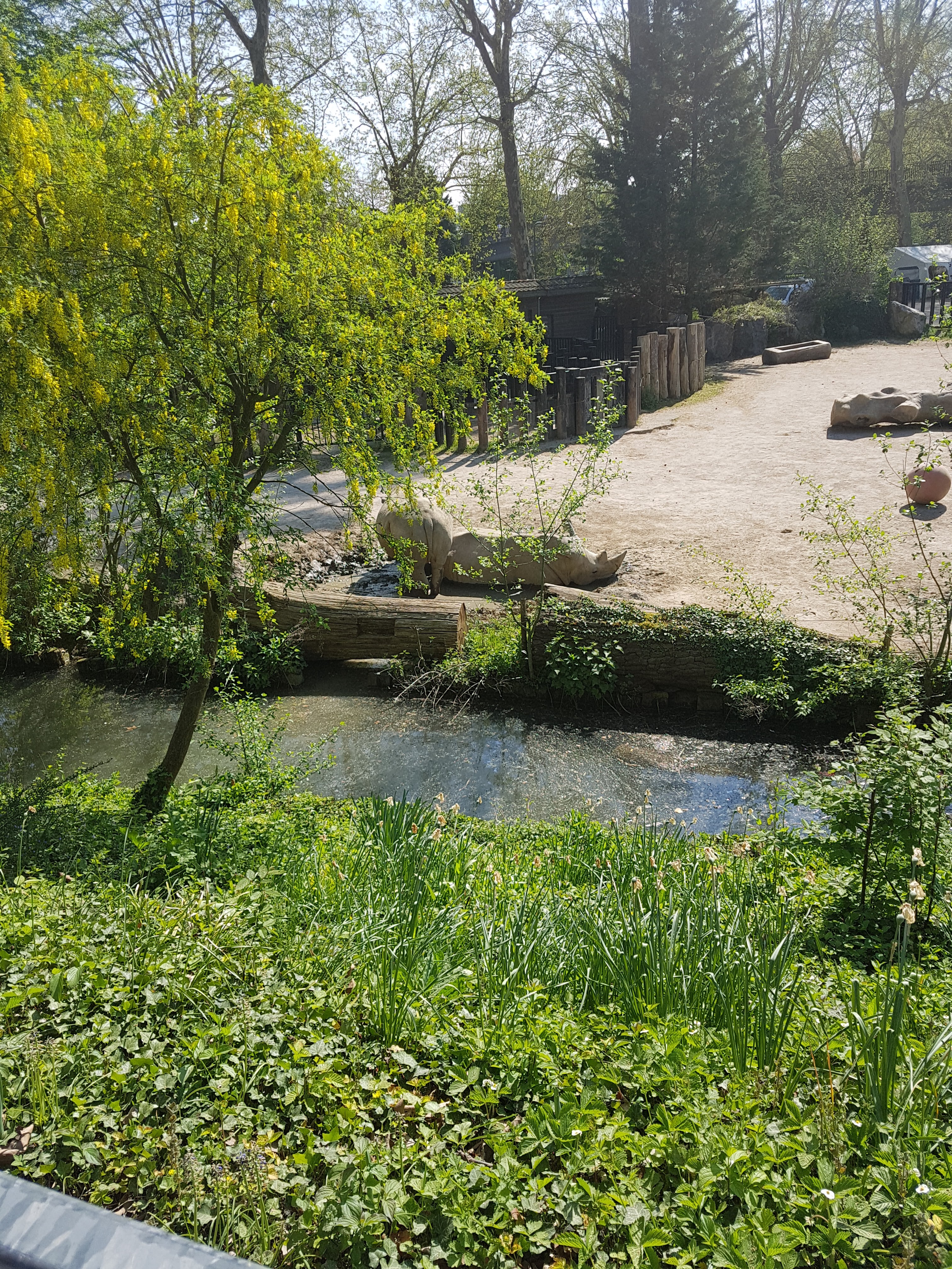 Photo n° 11 de l'avis de Celia.a fait le 30/04/2019 à 08:20