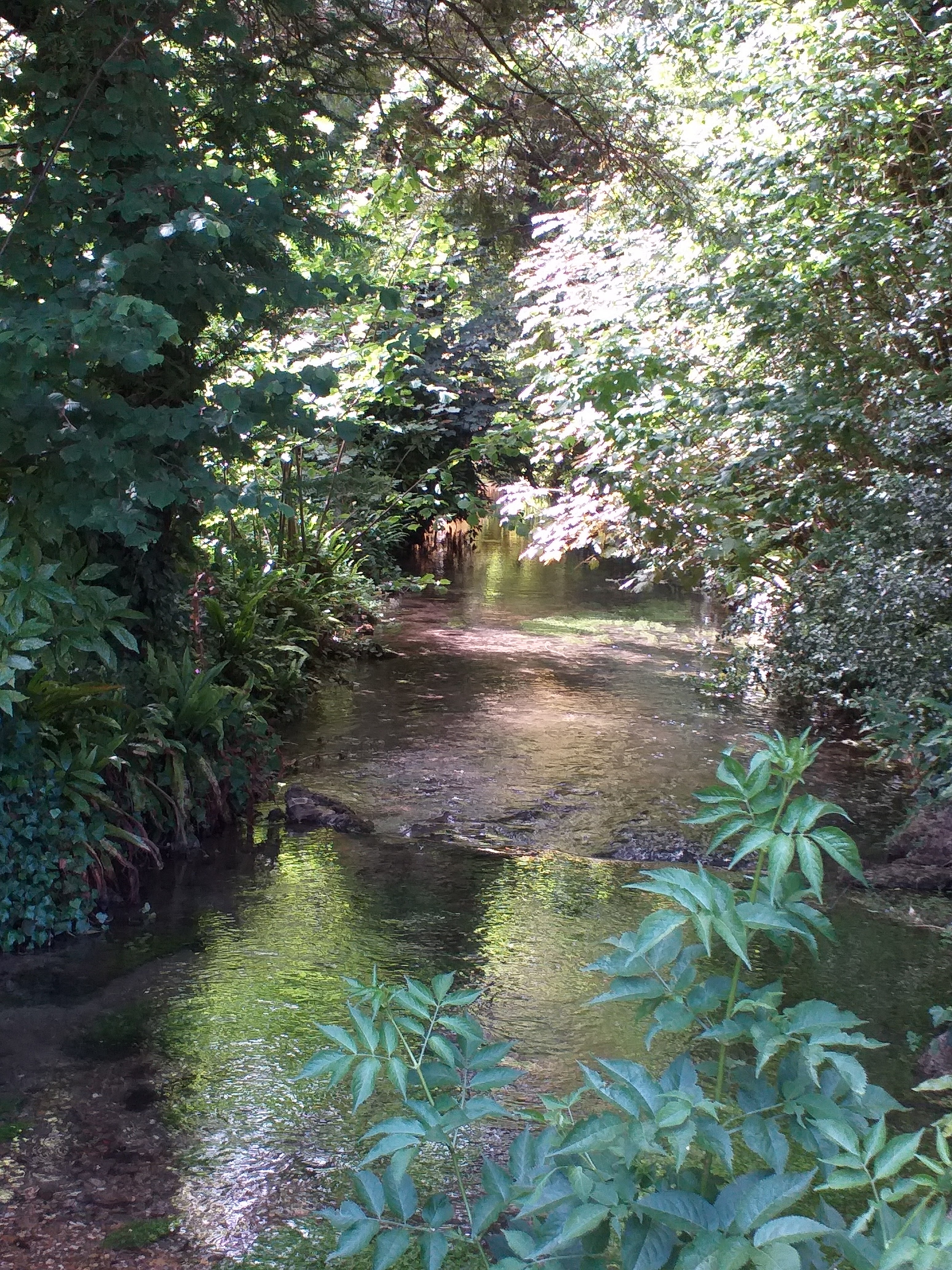 Photo n° 1 de l'avis de Sylvie.h fait le 20/06/2019 à 17:51