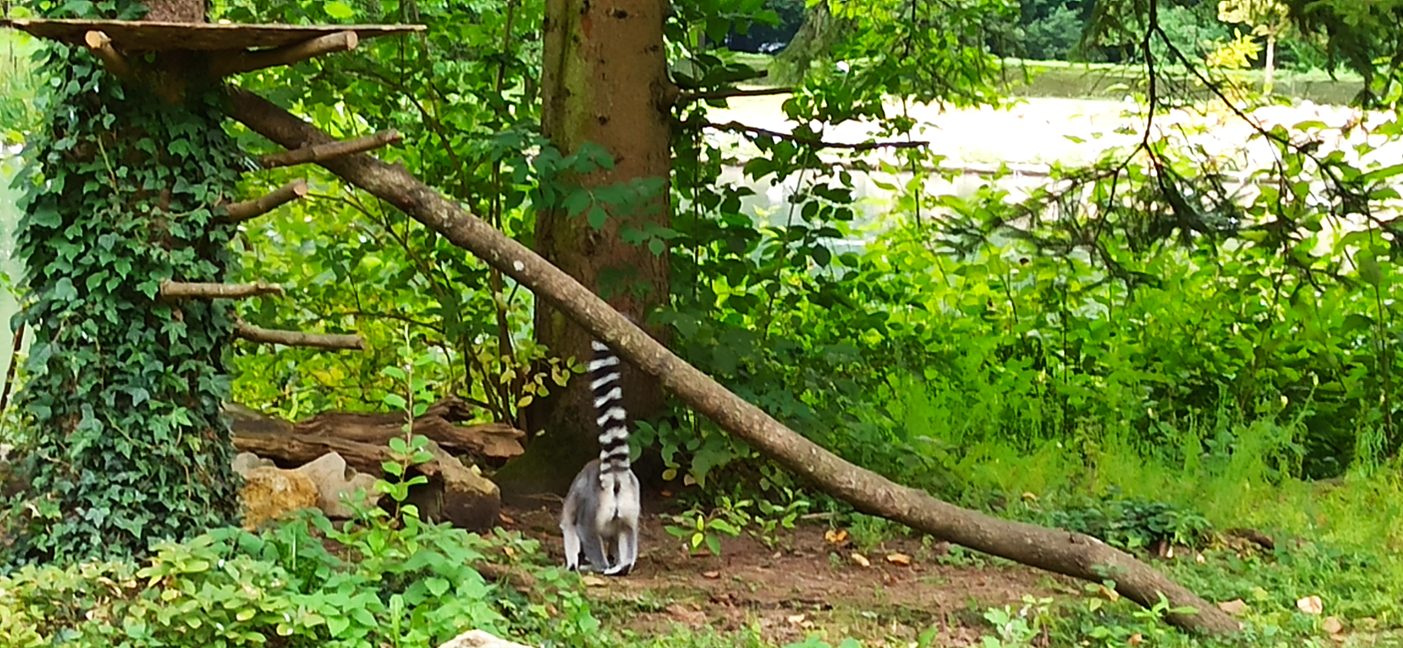 Photo n° 3 de l'avis de julien.t fait le 19/08/2021 à 14:14