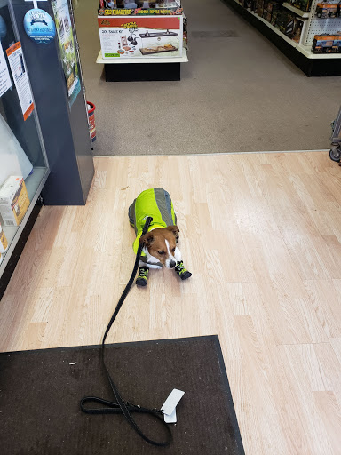 Pet Supply Store «Best Pets», reviews and photos, 905 Washington Ave, Detroit Lakes, MN 56501, USA
