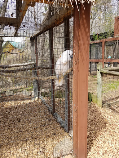 Zoo «Wilderness Trails Zoo», reviews and photos, 11721 Gera Rd, Birch Run, MI 48415, USA