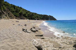 Sisia beach'in fotoğrafı vahşi alan
