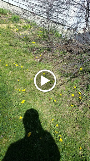 Real Estate Developer «Mill Valley North by Pulte Homes», reviews and photos, 202 Triple Crown Way, Marysville, OH 43040, USA