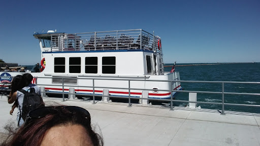 Park «Maggie Daley Park», reviews and photos, 337 E Randolph St, Chicago, IL 60601, USA