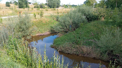 Sentier pédagogique du Grand Mortarieu à Villemade