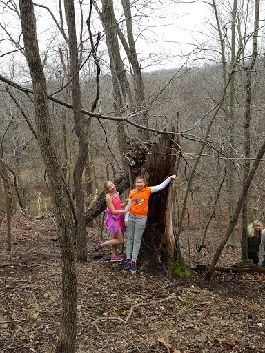 Golf Club «West Winds Golf Club», reviews and photos, 11330 Country Club Rd, New Market, MD 21774, USA