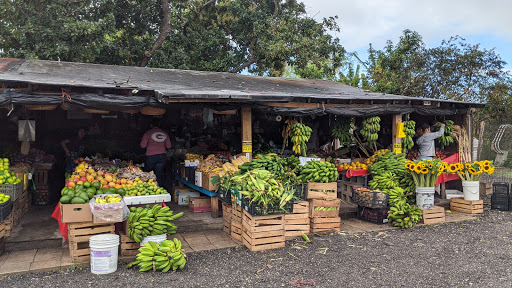 Maria Corona Produce Best Farmers Market