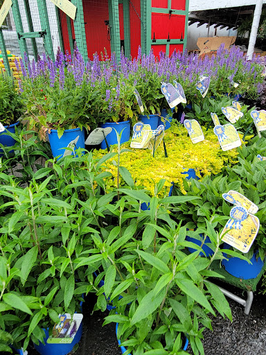 Grocery Store «Red Top Farm Market», reviews and photos, 1801 NJ-70, Southampton Township, NJ 08088, USA