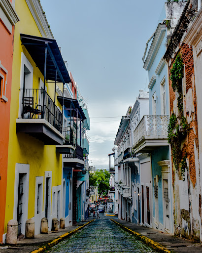 Puerto Rican Flag Door