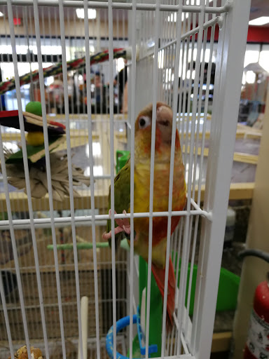 Pet Supply Store «Pet Supermarket», reviews and photos, 2585 N Atlantic Ave, Daytona Beach, FL 32118, USA