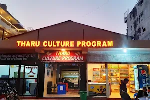 Tharu Culture Program image
