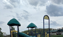 Pine Community Park