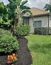 Munching Monster Lawn Services LLC - Photo 4 - Car repair in Cape Coral, FL, Cape Coral