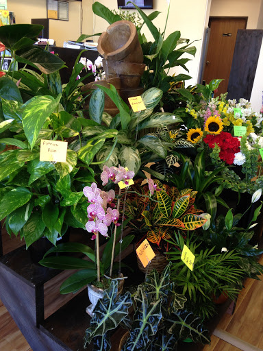 Florist «Razanne Flowers», reviews and photos, 8994 Elk Grove Blvd, Elk Grove, CA 95624, USA