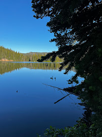 Barb Gonzalez Photography - Photo 4 - Car repair in Bend, OR, Bend