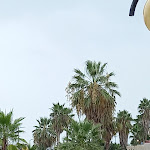 Photo n°11 de l'avis de Matteo.e fait le 04/09/2023 à 07:37 sur le  Residence Club Hotel le Terrazze à Grottammare