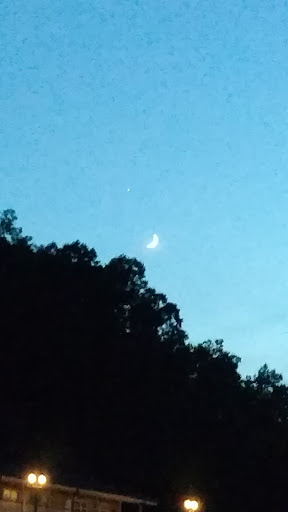 Marina «Terrace View Marina», reviews and photos, 3367 Euchee Chapel Rd, Spring City, TN 37381, USA