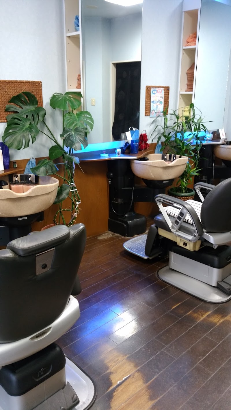 へあ さろん えむ えむ 大阪府柏原市今町 美容院 美容院 グルコミ