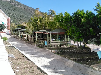 Kaş Anadolu Otelcilik Ve Turizm Meslek Lisesi