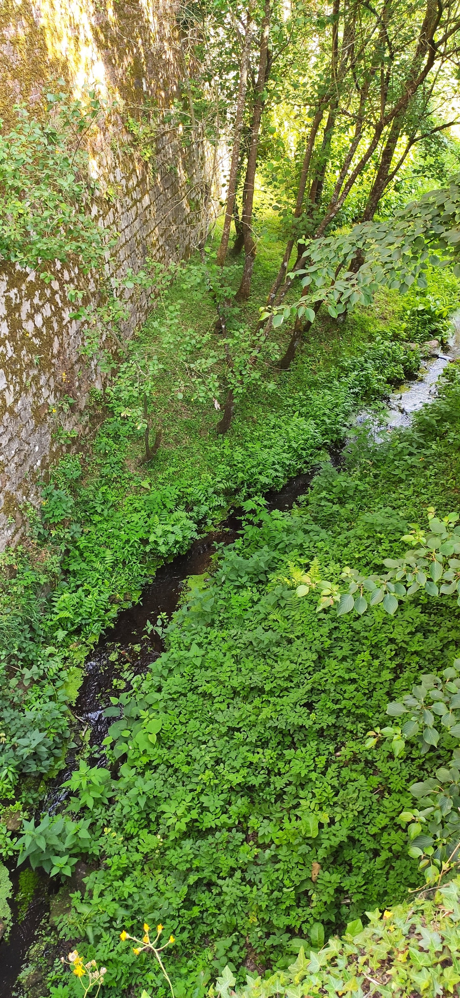 Photo n° 2 de l'avis de Laure.o fait le 18/07/2022 à 19:09