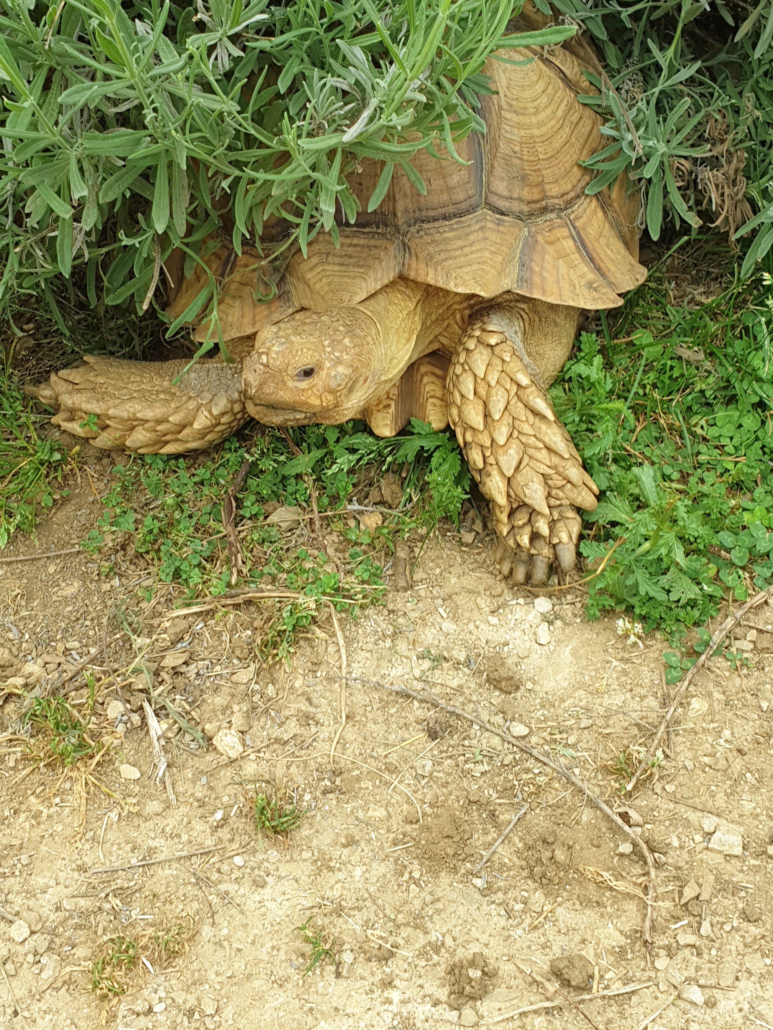 Photo n° 3 de l'avis de BN.s fait le 26/05/2022 à 17:33
