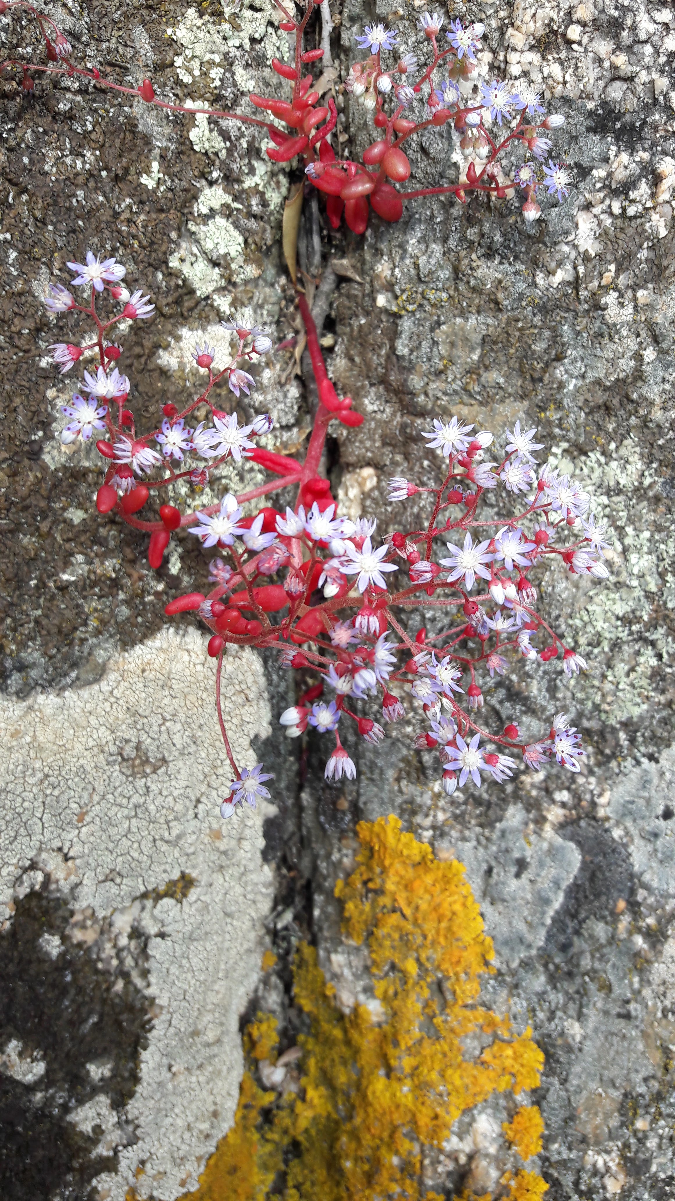 Photo n° 9 de l'avis de Pascal.a fait le 09/06/2018 à 06:36
