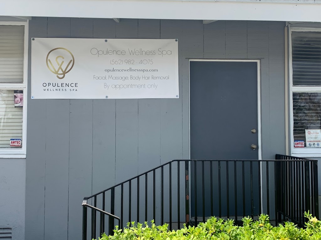 Opulence wellness Spa 90807