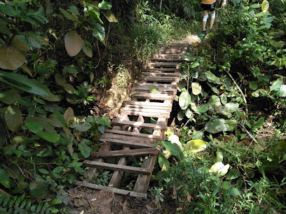 Bukit Kiara Trail - Sri Hartamas Entrance