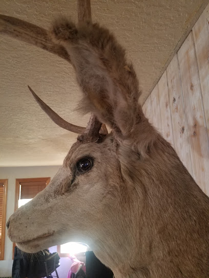 Mountain View Taxidermy