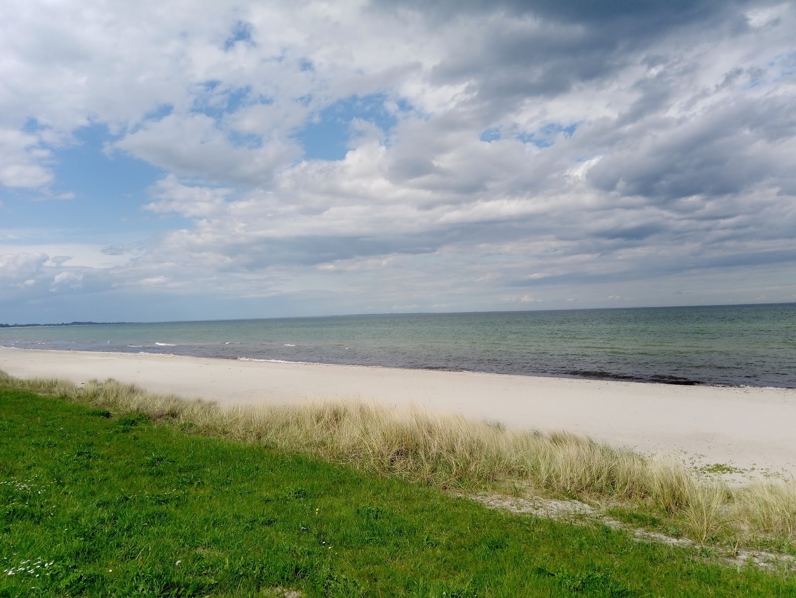 Foto von Maasholm strand mit sehr sauber Sauberkeitsgrad