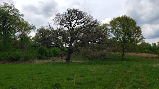 Nature Preserve «Penny Road Pond», reviews and photos, Penny Rd, Barrington, IL 60010, USA