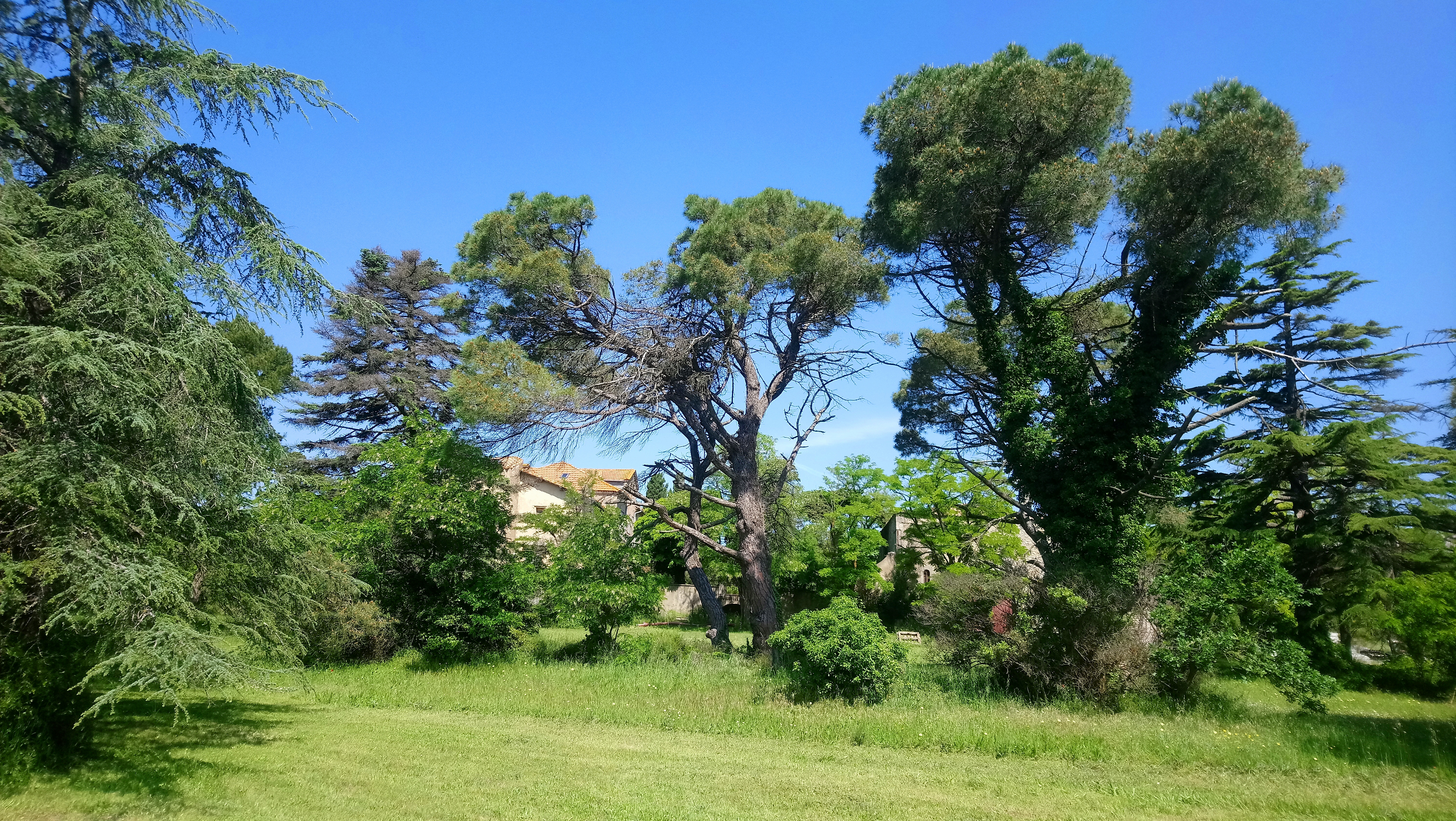 Photo n° 2 de l'avis de Némésis. fait le 21/05/2018 à 16:58