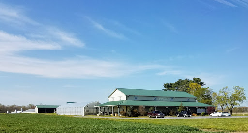 Florist «Bobola Farm & Florist», reviews and photos, 5268 Forrest Ave, Dover, DE 19904, USA