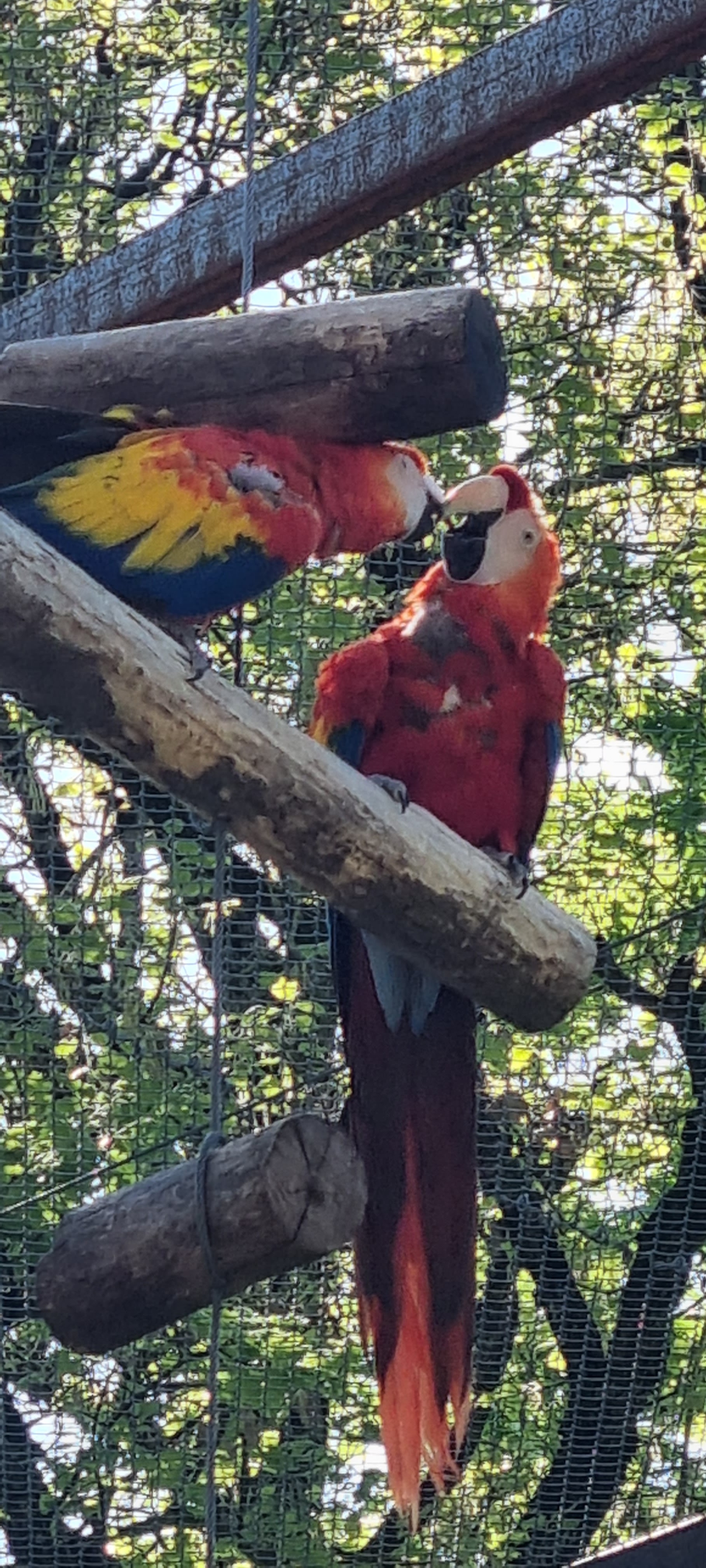 Photo n° 41 de l'avis de Anne.a fait le 25/04/2022 à 13:04