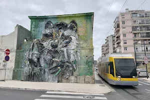 Big Raccoon Street Art by Bordalo II image