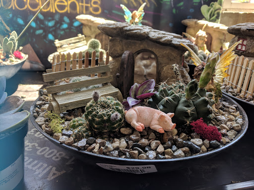 Home Improvement Store «The Home Depot», reviews and photos, 13929 Manchester Rd, Ballwin, MO 63011, USA