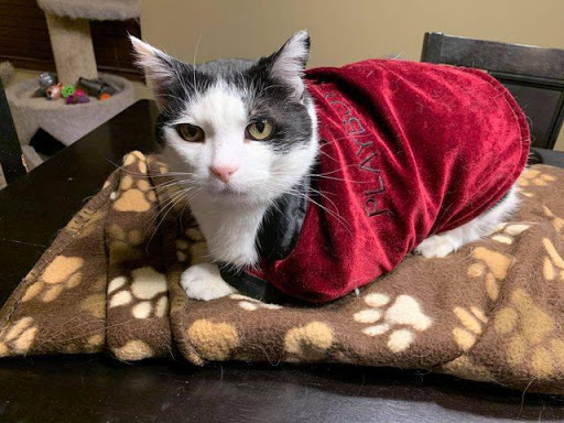 Pet Supply Store «Natural Pet Center», reviews and photos, 3037 13th Ave S, Fargo, ND 58103, USA