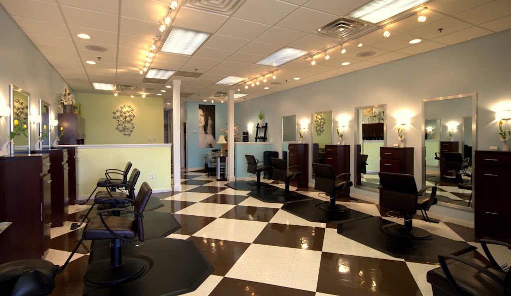 Salon Yorya 23831