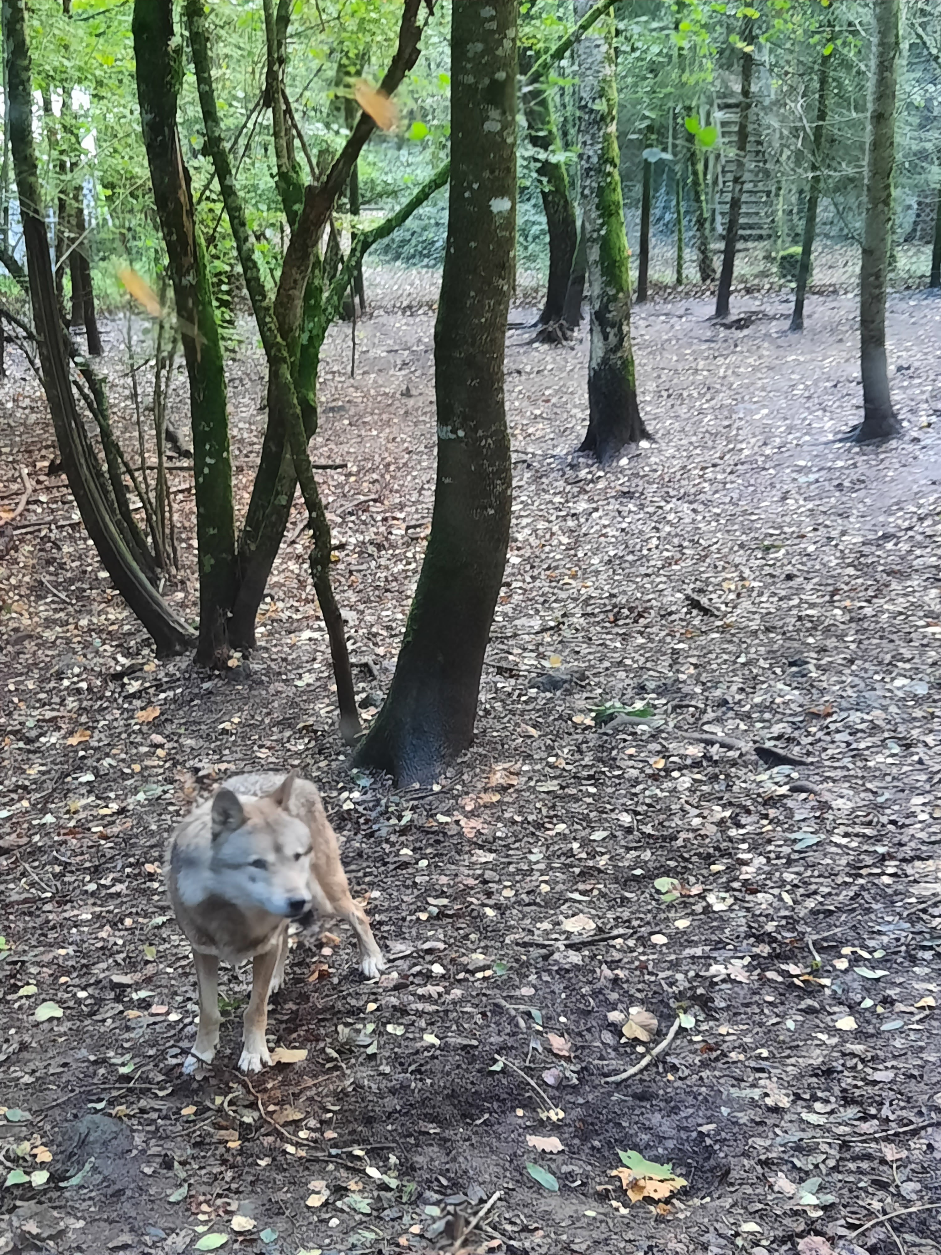 Photo n° 1 de l'avis de Mely.i fait le 10/11/2023 à 14:40