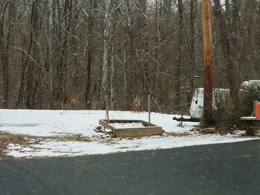 Auto Repair Shop «Quality Collision», reviews and photos, 2110 S Walnut St, Bloomington, IN 47401, USA