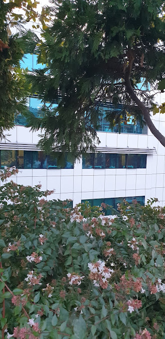 LIV HOSPITAL - LIV HOSPITAL