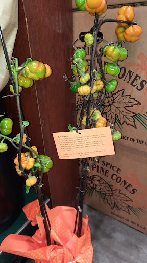 Grocery Store «Nob Hill Foods», reviews and photos, 1912 Main St, Watsonville, CA 95076, USA