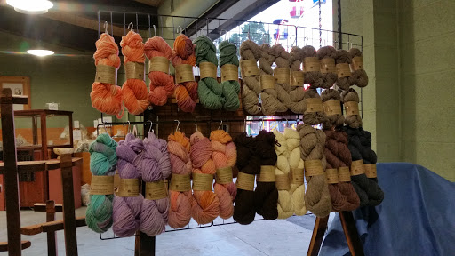 Association or Organization «Mendocino County Fair and Apple Show», reviews and photos