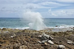 The Blowholes image