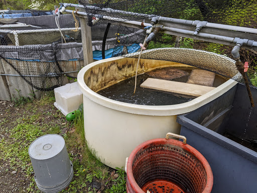 Northeastern Aquatics Inc