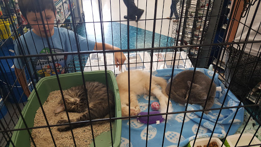 Pet Supply Store «Petco Animal Supplies», reviews and photos, 11639 S Pkwy Plaza Dr, South Jordan, UT 84095, USA