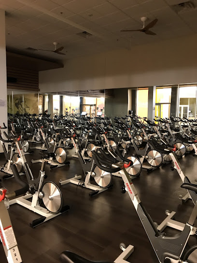 LA Fitness - 43 Junction Rd, Toronto, ON M6N 1B5, Canada