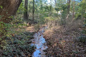 Six Springs Wetlands image