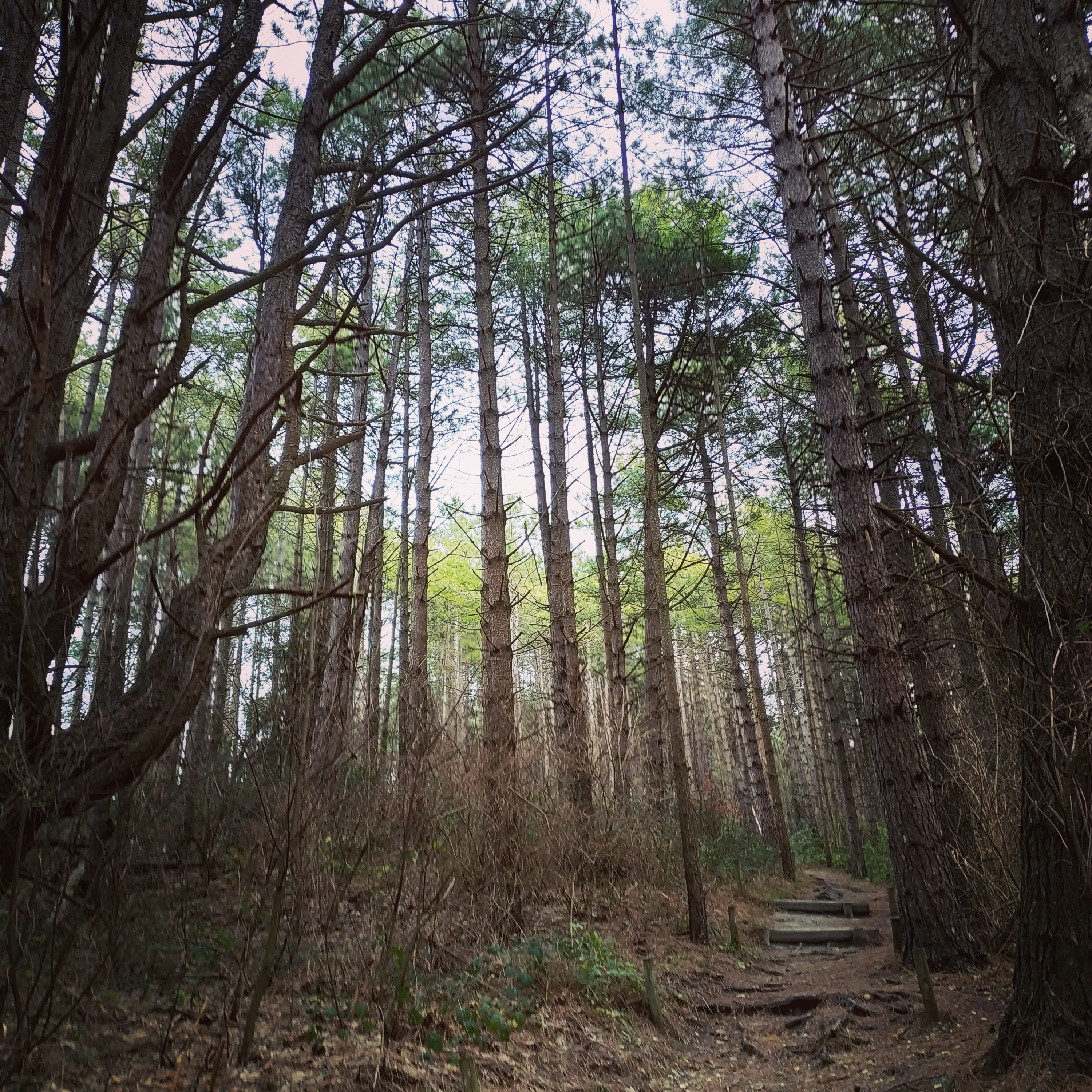 Photo n° 1 de l'avis de Sonia.o fait le 05/02/2019 à 17:42